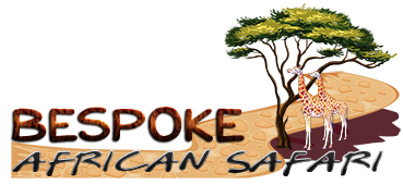 Bespoke African Safari