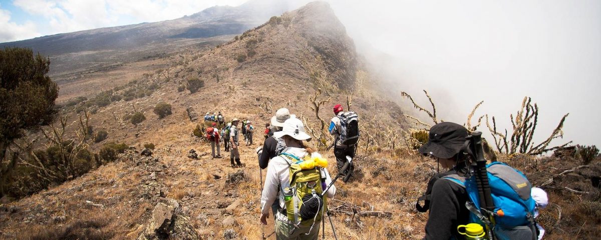 kilimanjaro-lemosho-route