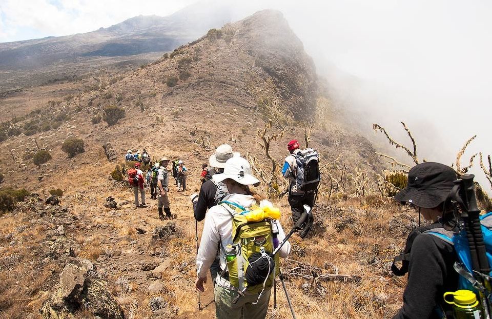 kilimanjaro-lemosho-route
