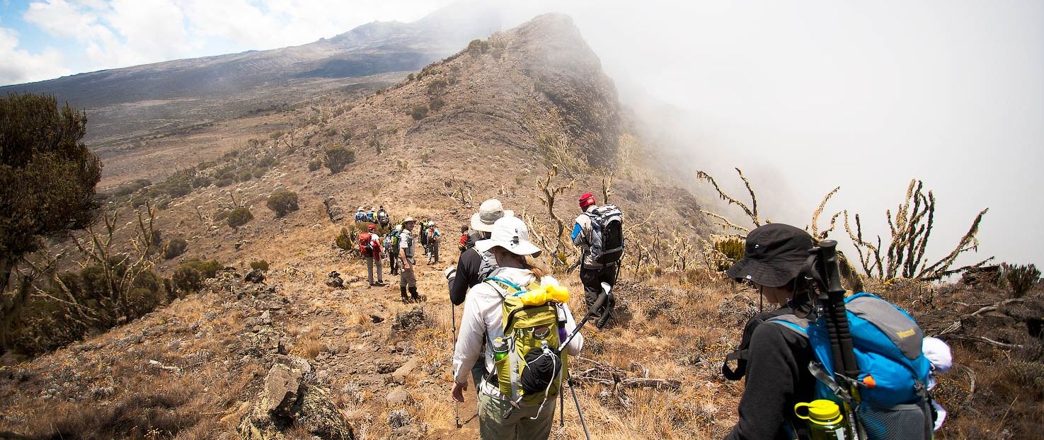 kilimanjaro-lemosho-route