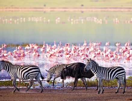 lake manyara accommodations